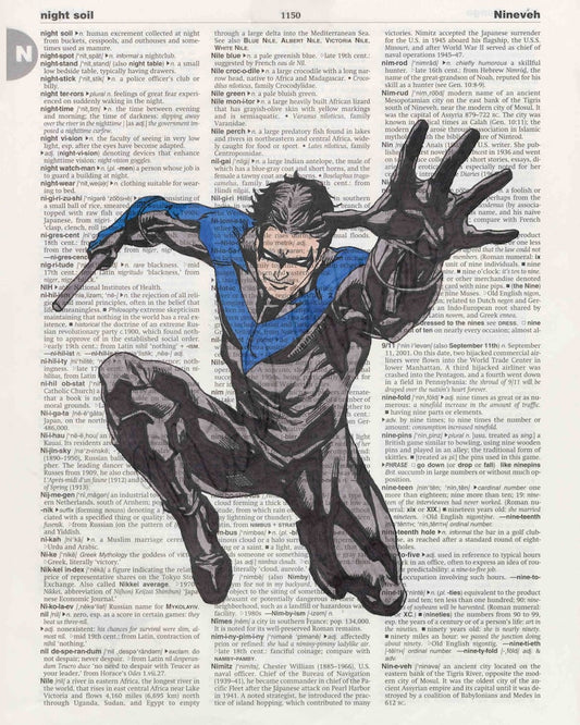 **Nightwing: Nocturnal Guardian**