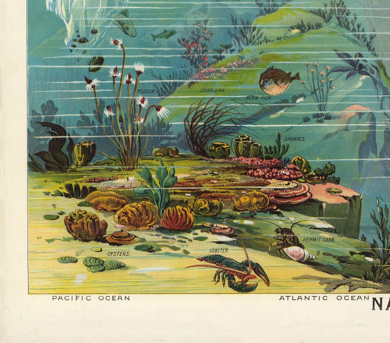 Vintage Nature Poster: Descending Regions