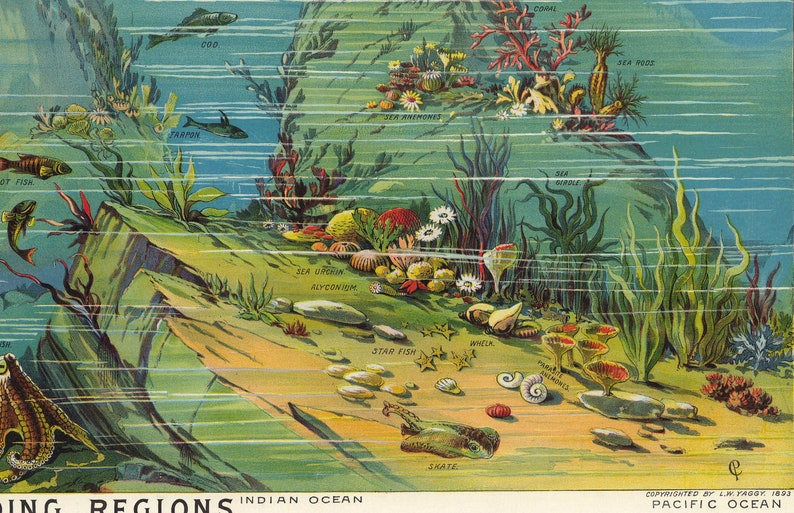 Vintage Nature Poster: Descending Regions