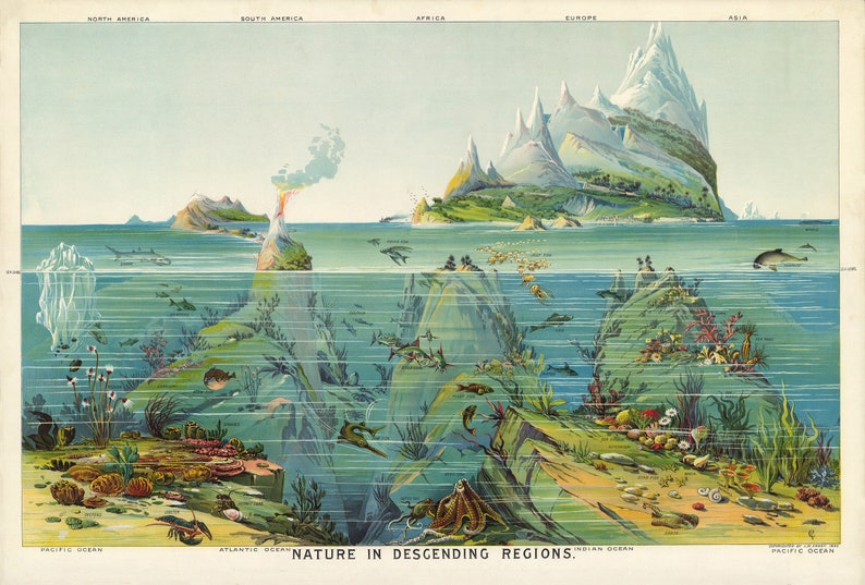 Vintage Nature Poster: Descending Regions