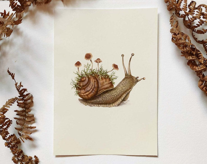 Serene Garden Snail Art Print