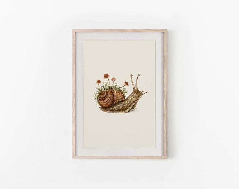 Serene Garden Snail Art Print