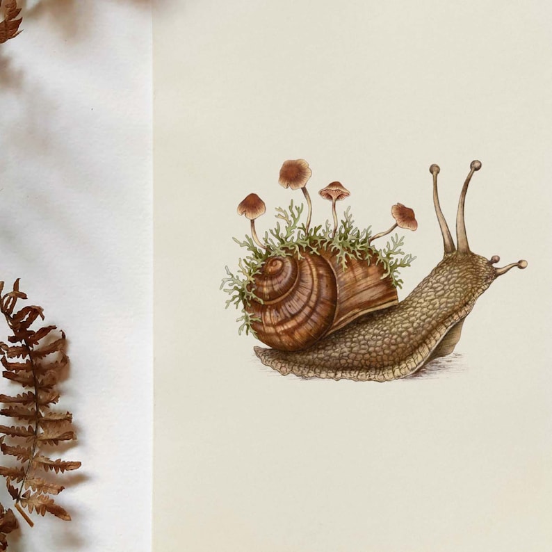 Serene Garden Snail Art Print