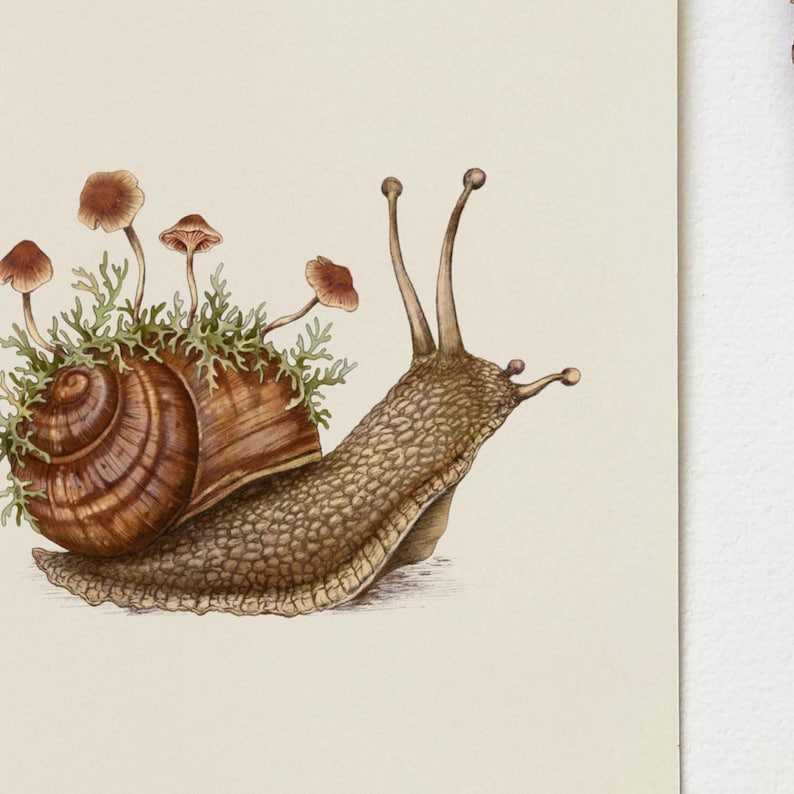 Serene Garden Snail Art Print