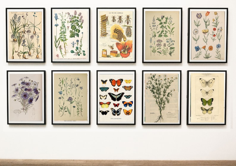 25 Vintage Nature Wall Art Prints