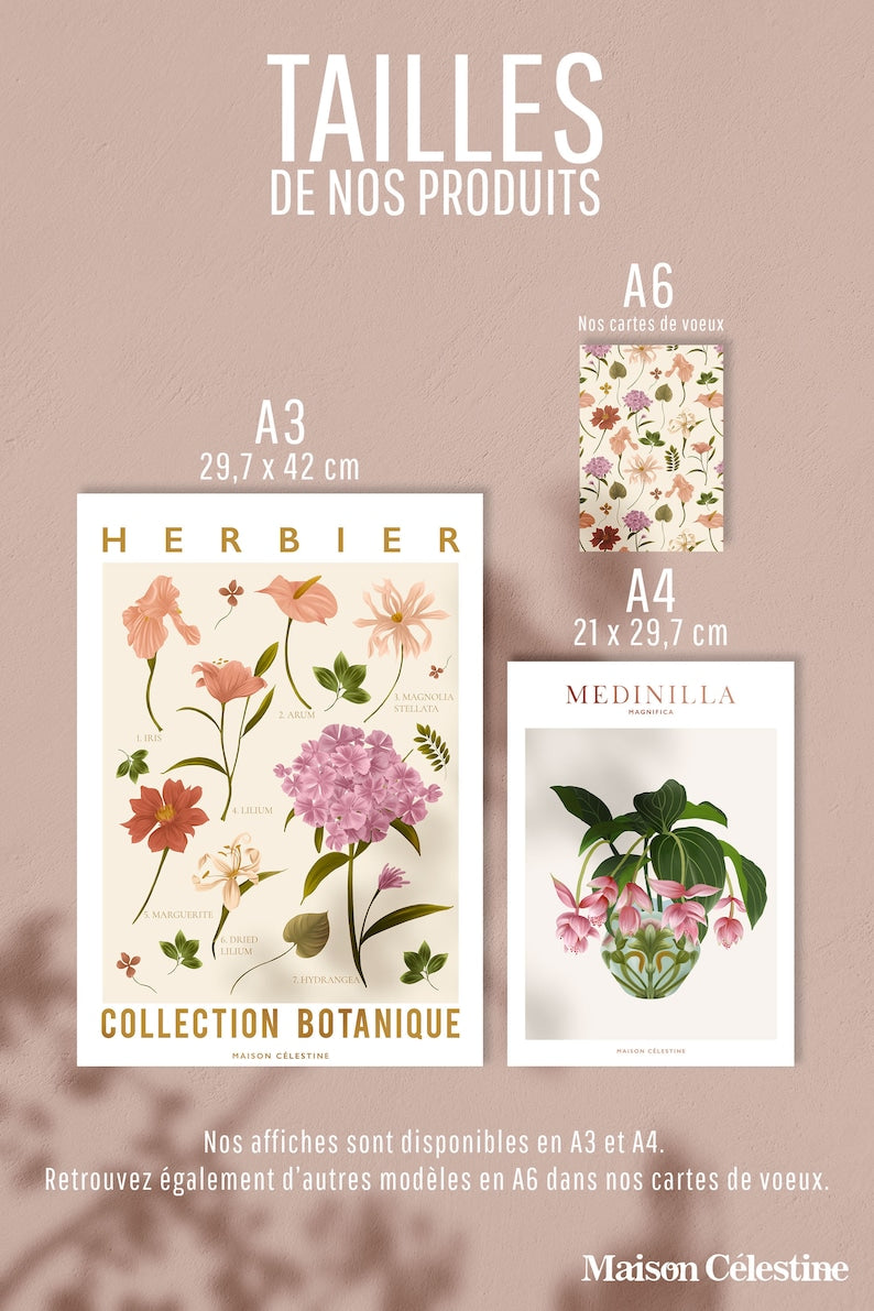 Botanical Trio: Nature's Beauty in Your Home