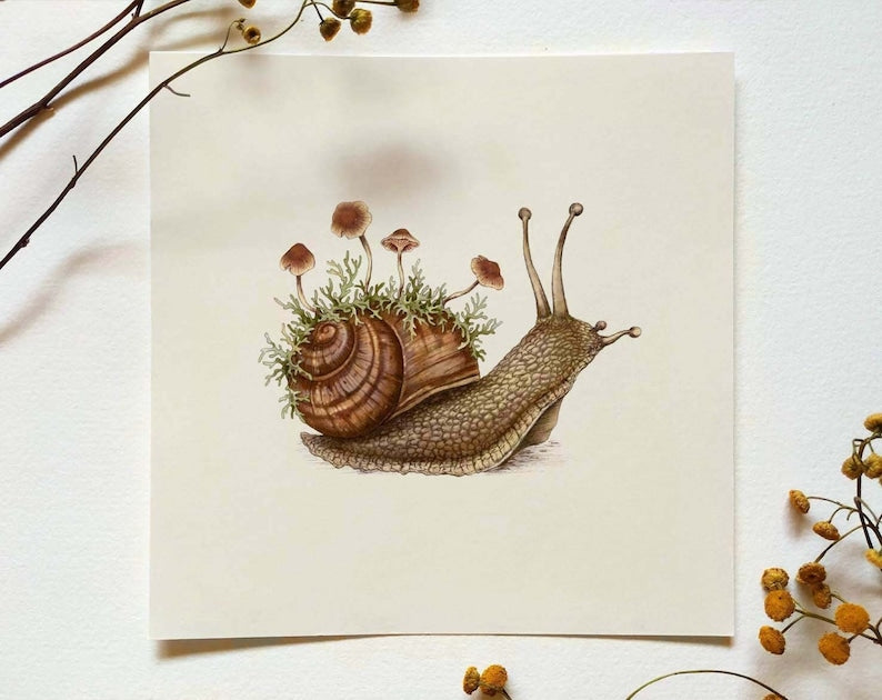 Serene Garden Snail Art Print