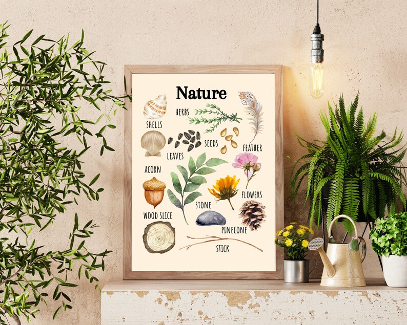 Nature-Inspired Poster for Playful Learning