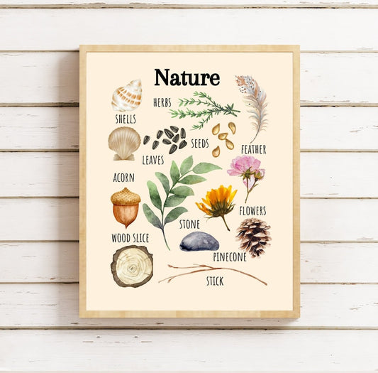 Nature-Inspired Poster for Playful Learning