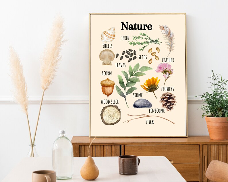 Nature-Inspired Poster for Playful Learning