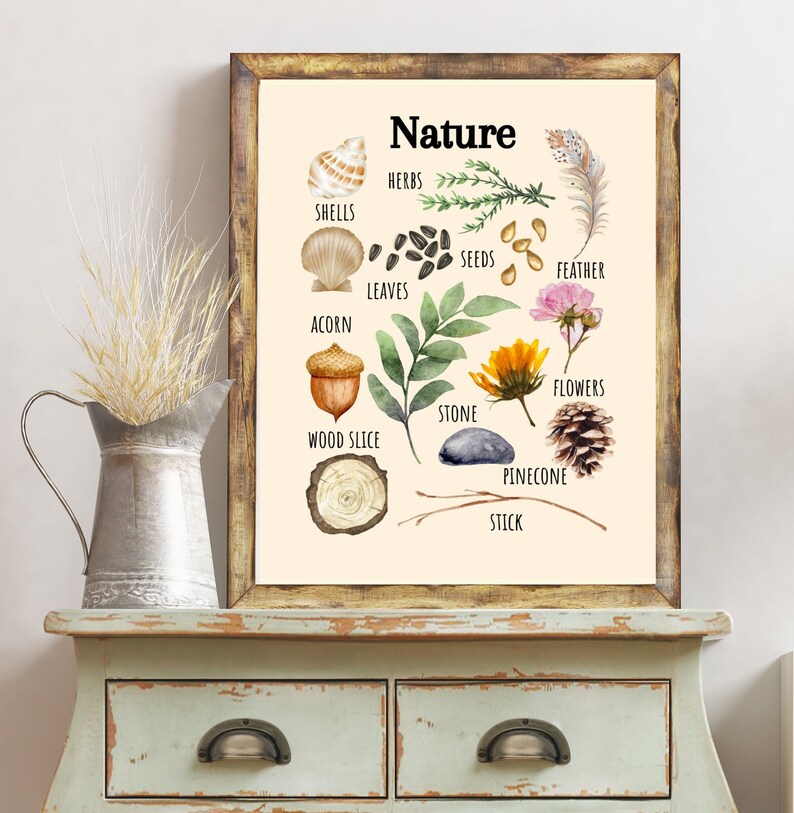 Nature-Inspired Poster for Playful Learning